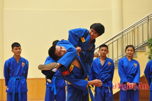 Giải Vovinam - Việt Võ Đạo tiền Hội khoẻ Phù Đổng năm 2016