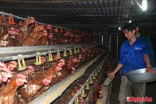 Đồng hành cùng thanh niên khởi nghiệp