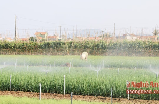 Giải pháp phát triển nguồn nhân lực khoa học công nghệ