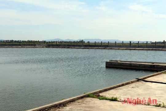 Nghệ An: Về quê tắm ao, nam sinh lớp 10 đuối nước