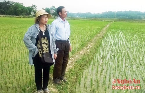 Nữ doanh nhân bỏ phố về làng làm việc nghĩa