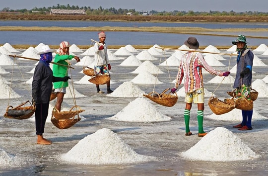 Phó Thủ tướng chỉ đạo mua tạm trữ muối niên vụ 2016