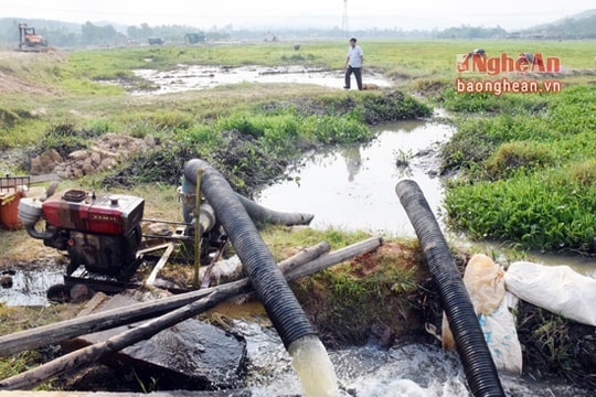 Yên Thành: Chi 3 tỷ đồng 'vét nước' phục vụ cấy lúa hè thu