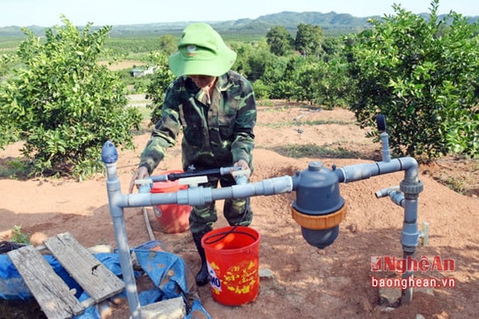 Nhiều tiện ích từ công nghệ tưới nhỏ giọt Isarel cho cam