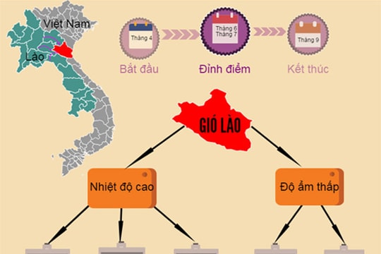 [Infographics]  Gió Lào xứ Nghệ
