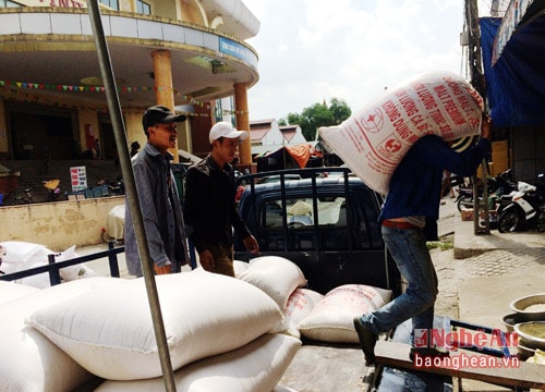 Nghỉ hè, nhiều nam sinh viên ở lại thành phố bốc vác thuê