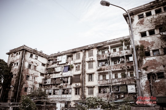 Chuyện vui nuôi lợn ở nhà tầng Quang Trung