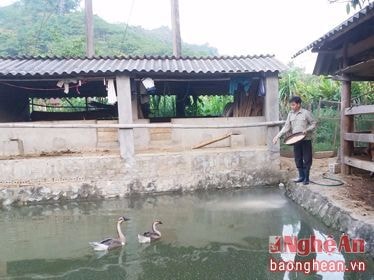 Những 'cây, con giảm nghèo' của Bí thư Lý