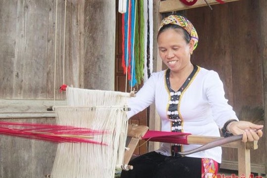 Chuyện 'những con ong rừng'