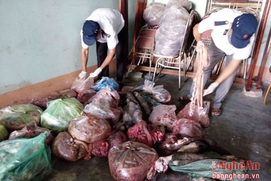 Công an Nghệ An bắt hơn 300kg nội tạng bò không có giấy tờ kiểm dịch