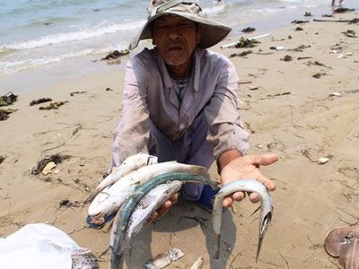 Truyền thông thế giới quan tâm đến thủ phạm gây cá chết hàng loạt ở Việt Nam