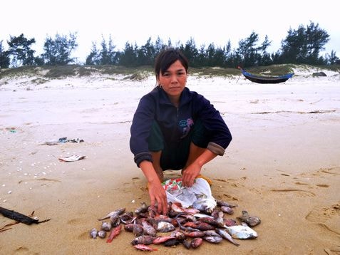 500 triệu USD đền bù của Formosa sẽ sử dụng như thế nào?