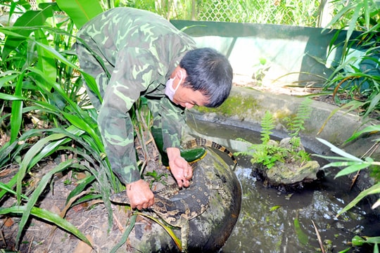 Nơi 'tạm trú' của động vật hoang dã