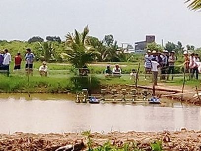 Chủ đầm tôm tử vong với nhiều thương tích