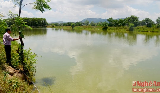 Nông dân thu tiền tỷ nhờ làm trang trại ở Nam Đàn