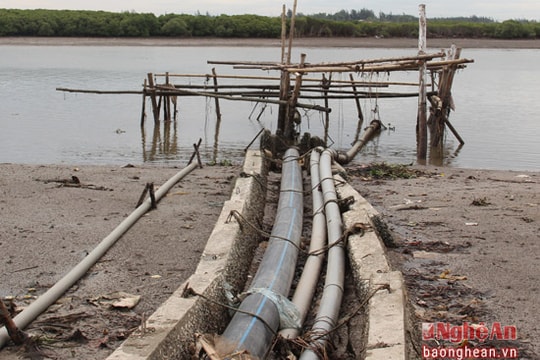 Nghệ An: Nhiều nhà máy chế biến bột cá xả thải xuống sông gây ô nhiễm