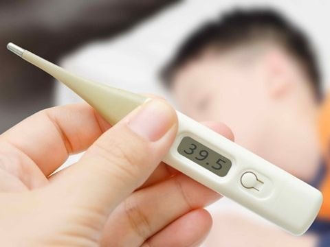 Viêm não Nhật Bản vào đỉnh dịch, nguy cơ lây lan mạnh