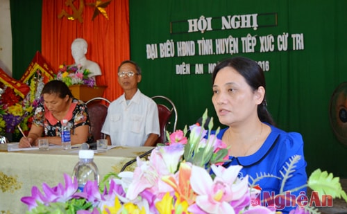 Cử tri Diễn Châu mong muốn sớm bàn giao hệ thống lưới điện nông thôn