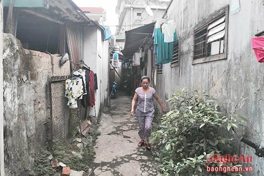 Cận cảnh những khu tập thể cũ nát ở TP Vinh