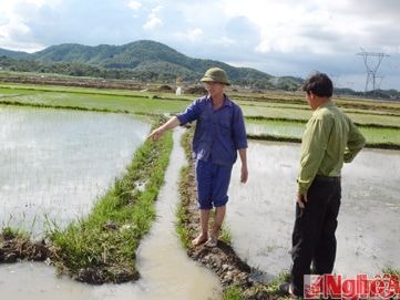 100% hộ dân đồng thuận 'đất đổi đất' tại Cụm Công nghiệp Nghĩa Mỹ