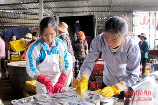 Quỳnh Lưu: Hơn 23 tỷ đồng nợ thuế khó đòi