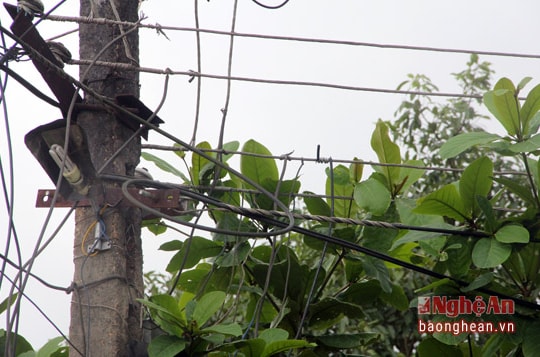 Bi hài chuyện điện: Nấu cơm trưa lúc 2 giờ sáng