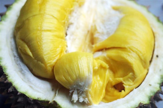 Mách bạn mẹo chọn sầu riêng chín tự nhiên