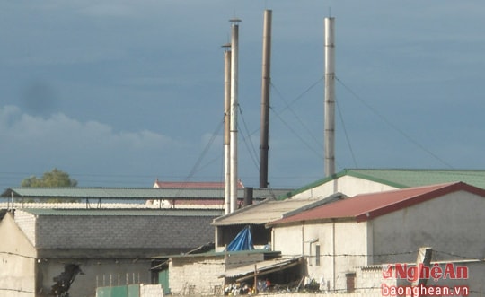 Nghệ An: Giám sát chặt chẽ việc khắc phục ô nhiễm môi trường tại các cơ sở chế biến bột cá