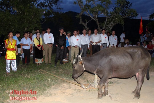 Lễ nộp trâu ở hội đền Choọng