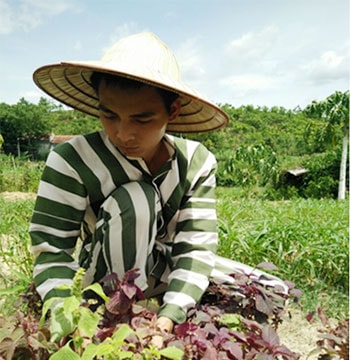 Phạm nhân dũng cảm cứu cháu bé bị đuối nước ở hồ sâu