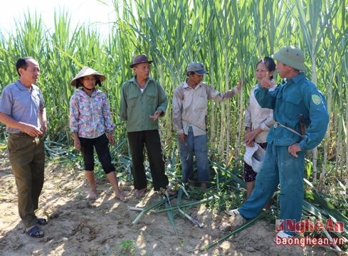 Khi già làng, trưởng bản tham gia xóa nghèo