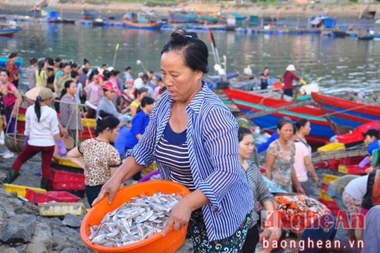 Cửa Lò: Nhộn nhịp bến cá lúc bình minh