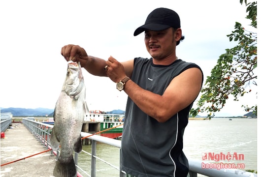 Cần thủ thành Vinh săn cá nước lợ