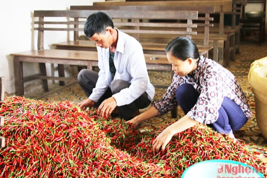 Nâng năng lực quản lý nhà nước về kinh tế tập thể hợp tác xã