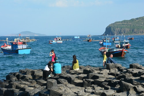 TP HCM mở tuyến tàu du lịch đến xứ 'Hoa vàng'