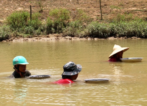 Nghề đội nắng mò trai