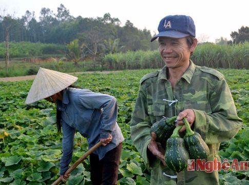 Những cây trồng cho thu nhập tiền tỷ ở Giang Sơn Đông