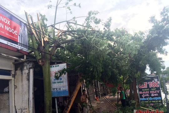 Trận mưa 40 phút kèm lốc xoáy làm cây gãy đổ ngổn ngang ở Anh Sơn