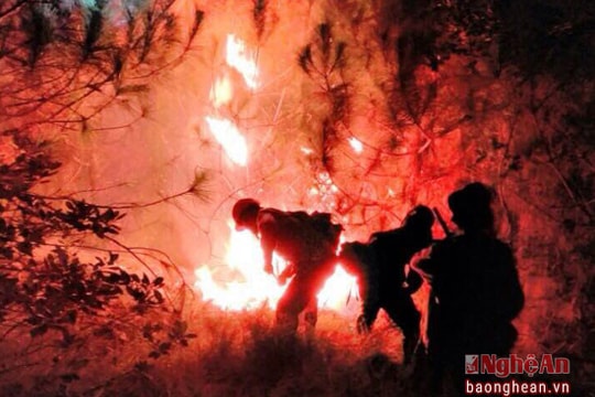 Yên Thành huy động trên 200 người khống chế lửa rừng tại Động Cao Sơn