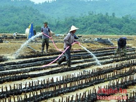 Thịnh vượng về kinh tế phải đi đôi với bền vững về môi trường