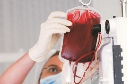 Công nghệ dùng phổi lợn lọc máu người