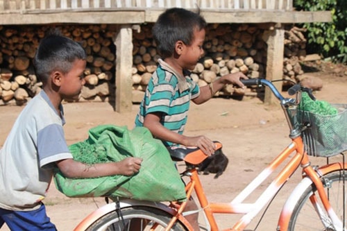 24,6% trẻ em Việt Nam bị thấp còi