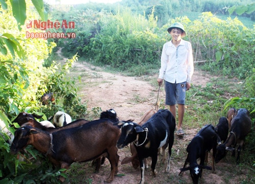 Cậu bé chăn dê thi đại học đạt hơn 27 điểm