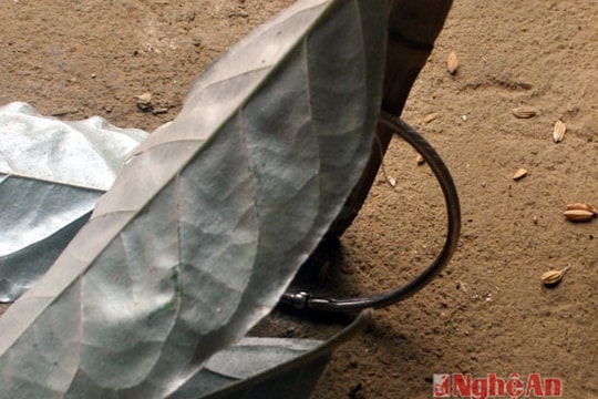 Chiếc vòng bạc giữ linh hồn đứa trẻ của người Thái