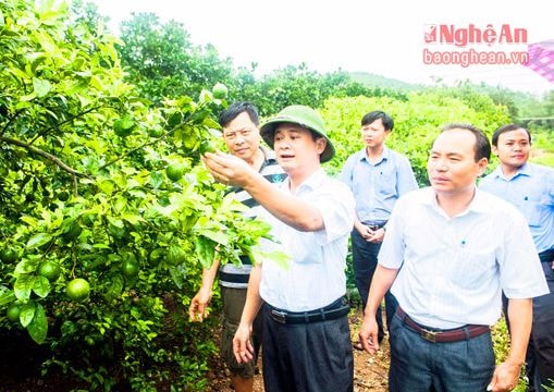 'Chọn mũi, chọn việc', đưa Nghị quyết của Đảng vào cuộc sống