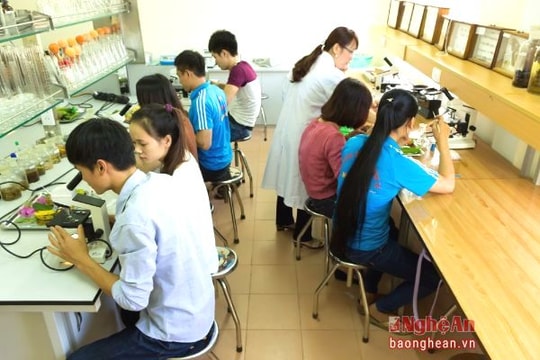 Trường Đại học Kinh tế Nghệ An: Đa dạng ngành nghề và phương thức xét tuyển