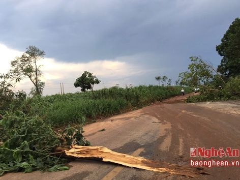 Giông lốc diễn ra ở Nghĩa Đàn (Nghệ An)