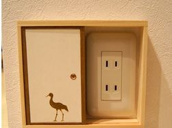 Những ổ điện "tàng hình"