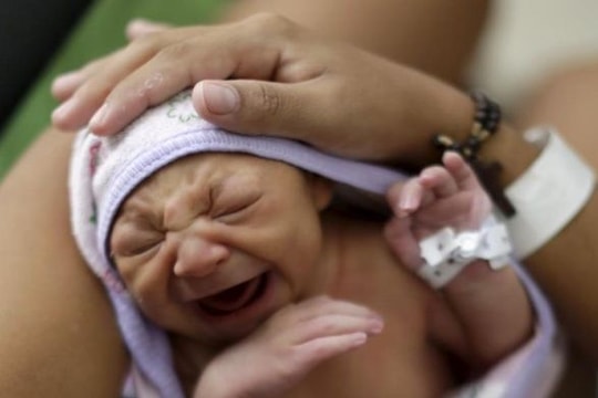 Phát hiện ca nhiễm virus Zika đầu tiên tại Phú Yên