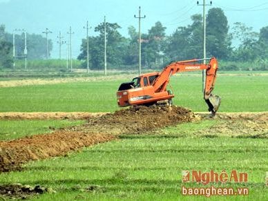 Nghệ An: Đề xuất chuyển mục đích sử dụng 242 ha đất trồng lúa, đất rừng